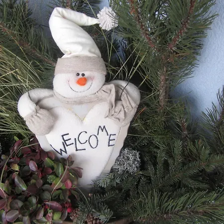 Apartman Hannas Alpengruss & Seefeld in Tirol