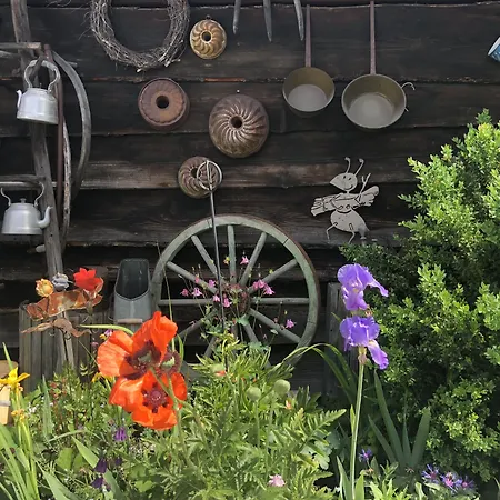 Daire Hannas Alpengruss & Seefeld in Tirol